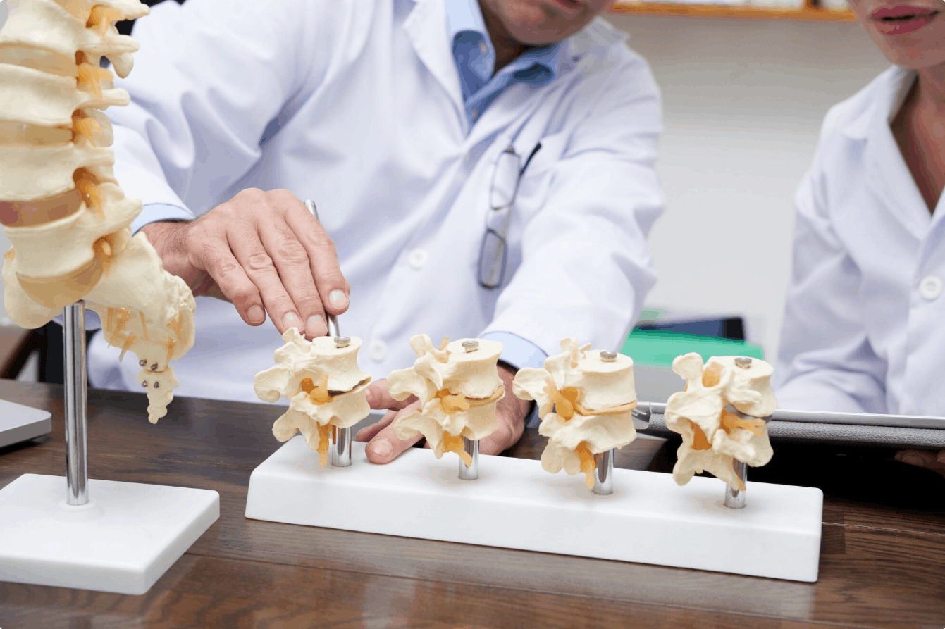 Doctor pointing at a spinal cord