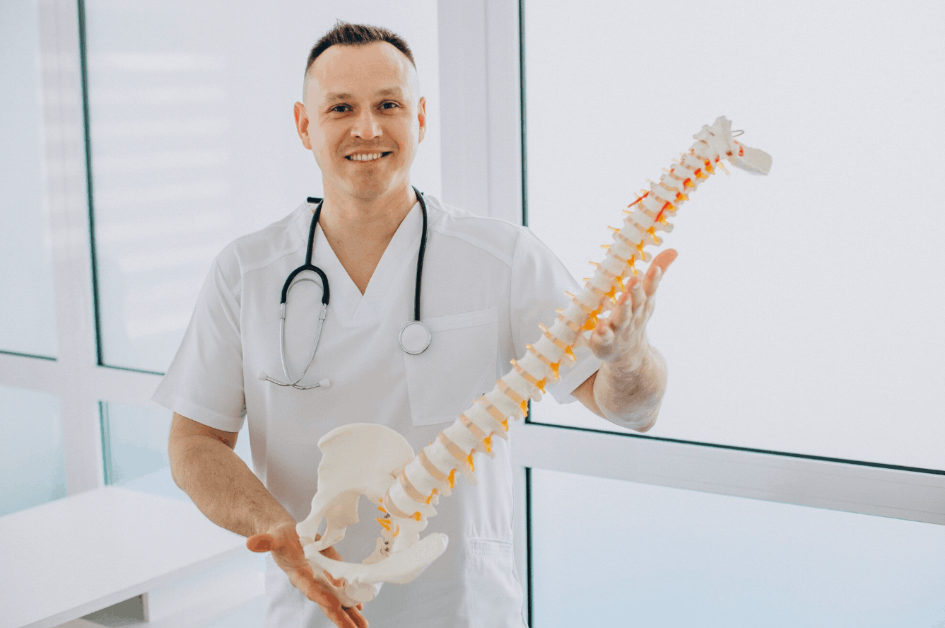 doctor holding a spine replica